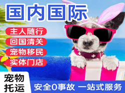 柳州机场邮寄国际宠物托运 【国